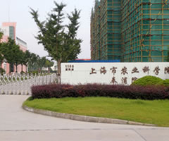 上海農業科学院入口　画像